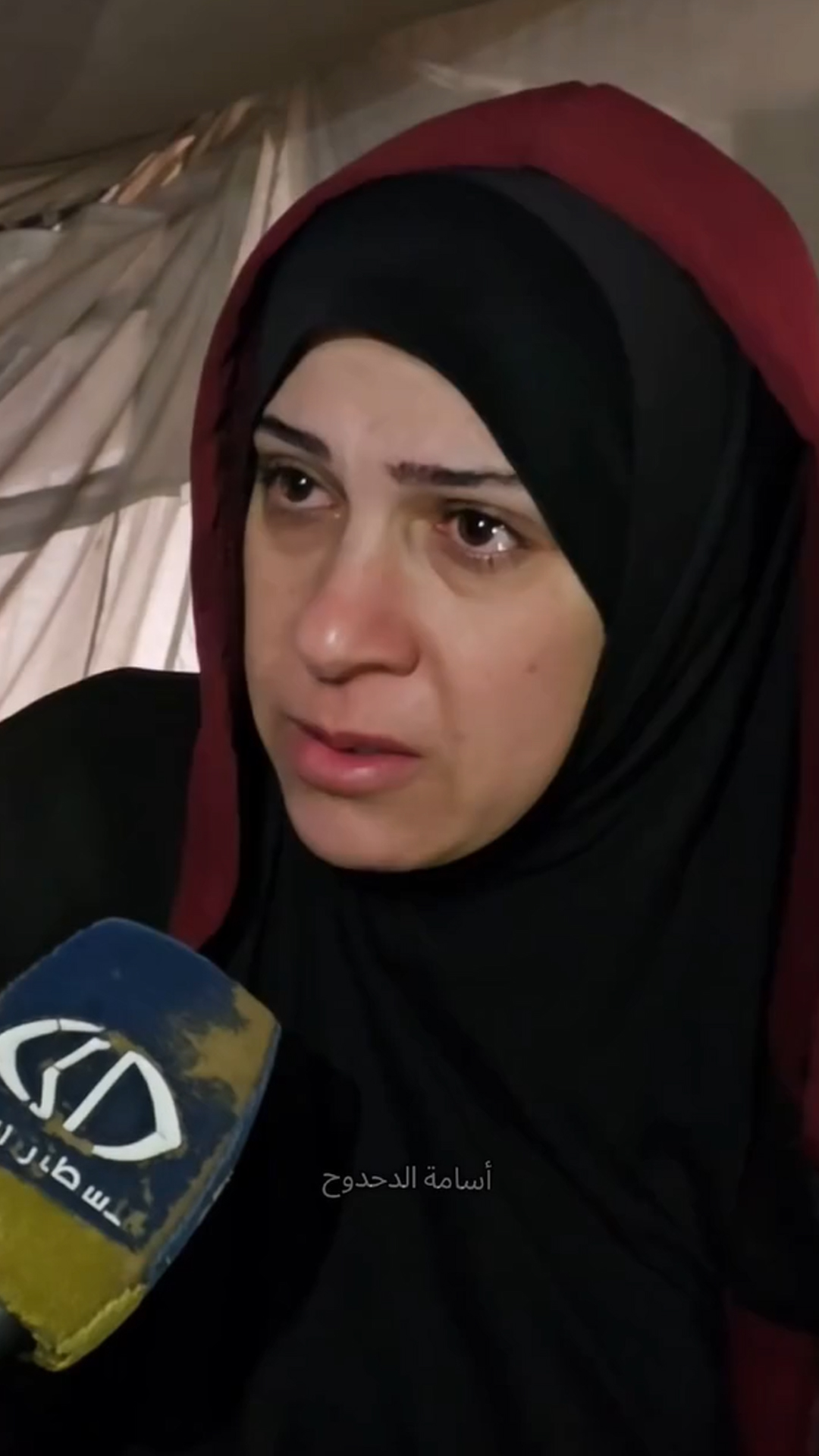 ثبات نساء غزة
